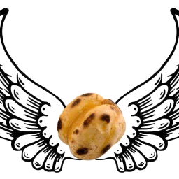 unknownflyingleblebi